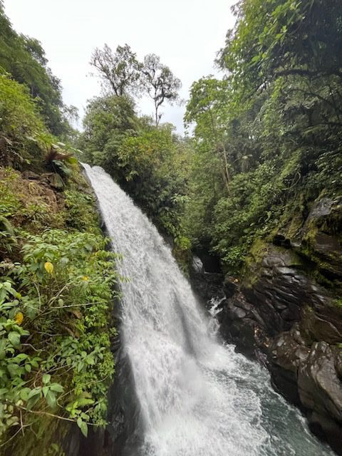 A waterfall in Costa Rica